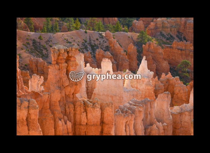 Hooddoos Bryce Canyon (Utah, USA) - gryphea.com
